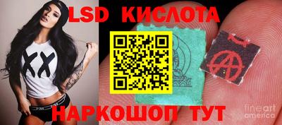 стаф Дубна