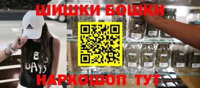 стаф Дубна