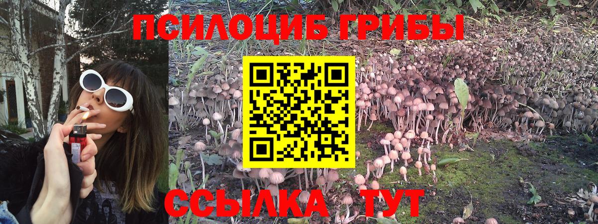 Галлюциногенные грибы прущие грибы Малгобек