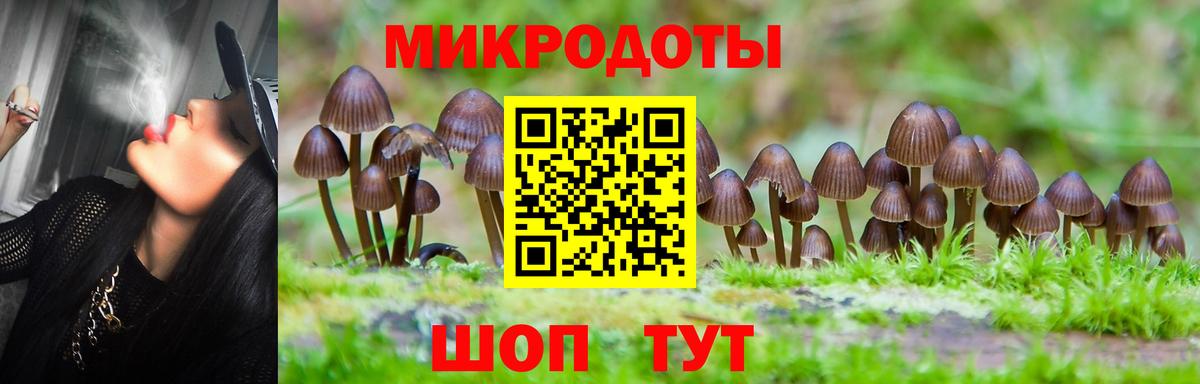 Псилоцибиновые грибы GOLDEN TEACHER  Вход с VPN  Малгобек 